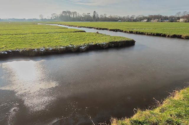 Lisse Poelpolder, de natte winter van 23 3