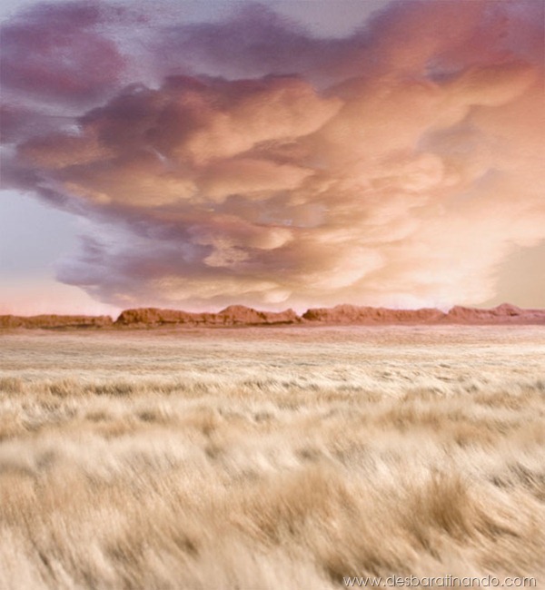 diorama-strange-worlds-fields-matthew-albanese-1