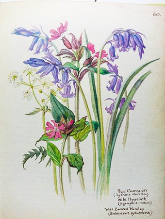 Edith Holden-6