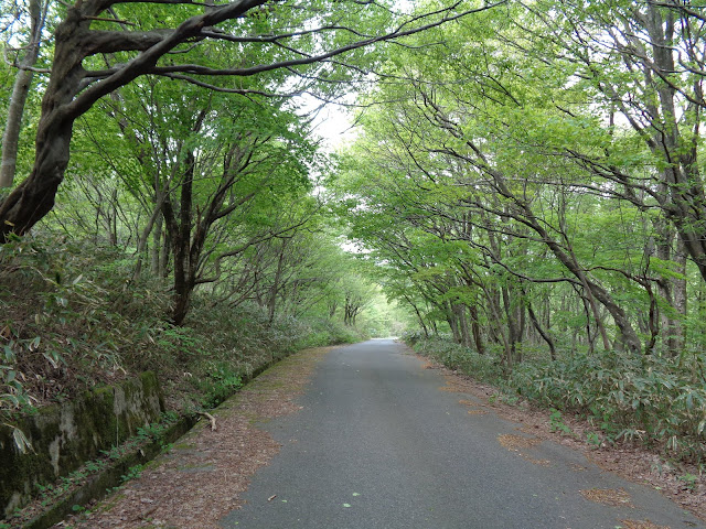 大休峠入り口に向かいます