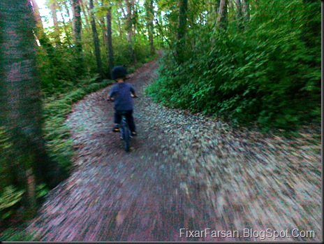 5 åring på Pojkcykel cyklandes på MTB stig