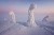 Frozen Trees of the Arctic: Photography by Niccolò Bonfadini