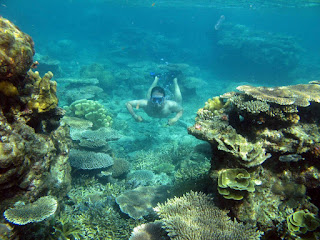 Indonesia promotes underwater destinations in Oman