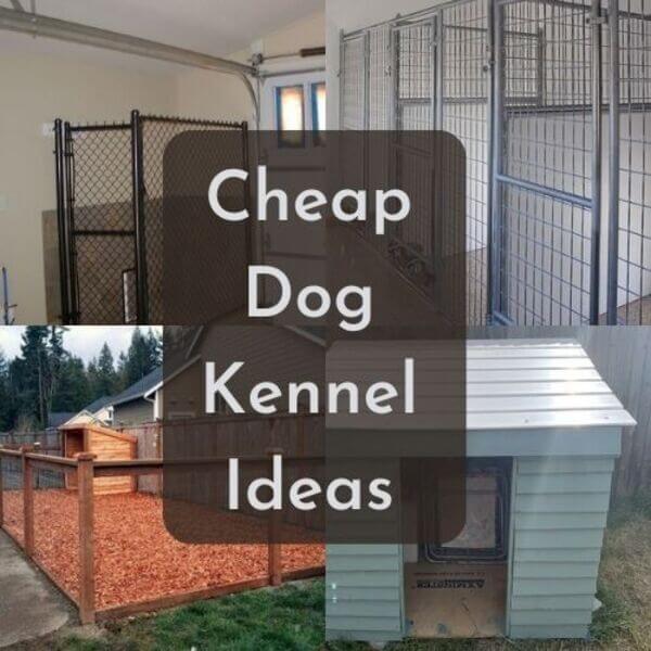 5+ Cheap Dog Kennel Ideas | Transforming Your Pet's Space on a Budget