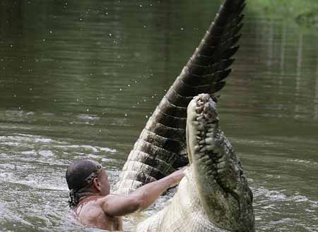 Buaya Puasa