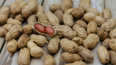 Beberapa Manfaat Buah Kacang Baik Untuk kesehatan tubuh