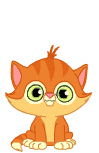 Gif de gato