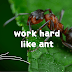 Motivation short stories Story about the ant and the grasshopper  The ant and the grasshopper story in english 