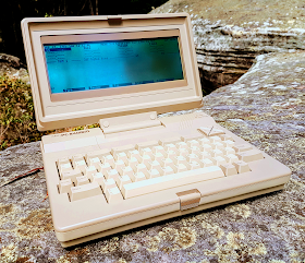 Portable computer out in the wild