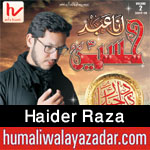 http://www.humaliwalayazadar.com/2017/09/haider-raza-nohay-2018.html