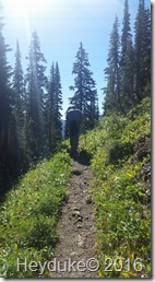 montana 013