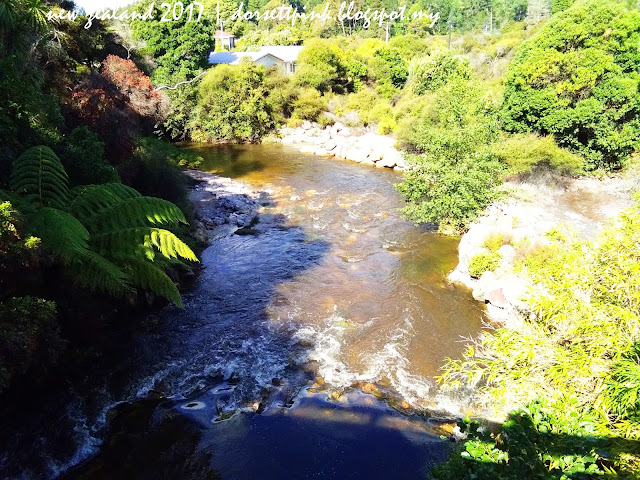 http://dorsettpink.blogspot.com/2017/04/travelog-new-zealand-2017-maori.html