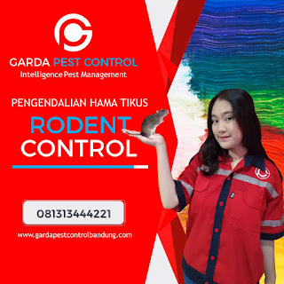 HUB : 081313444221 Jasa Pembasmi Tikus di Bekasi