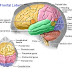 Stroke sufferers balance issues