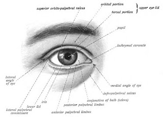 Menjaga dan merawat mata anjuran dokter