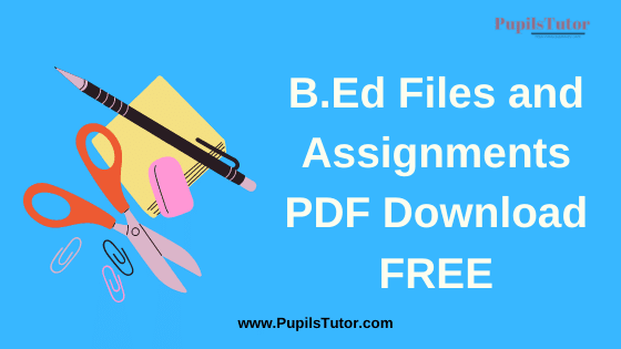 B.Ed Practical File, Assignments and Project Reports In English And Hindi For 1st And 2nd Year / All Semesters PDF Download Free | B.Ed Practical Files | B.Ed First Year Practical File  | B.Ed Second Year Practical File, b.ed practical files pdf download | b ed practical files pdf | bed practical files english medium | b.ed practical files english | b.ed practical files 1st semester | b.ed practical files in hindi | b.ed practical file pdf in hindi | b.ed practical files | b.ed practical files in hindi | b.ed practical files images | b.ed practical files in marathi | b ed practical files ccs university | ccsu b.ed practical files | how to make b.ed practical file | psychology practical file for b.ed in hindi | mdu b.ed practical files 2nd year | b.ed 1st year practical file in hindi | how to cover practical file