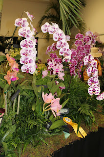 Orchid Festival - driver safety program