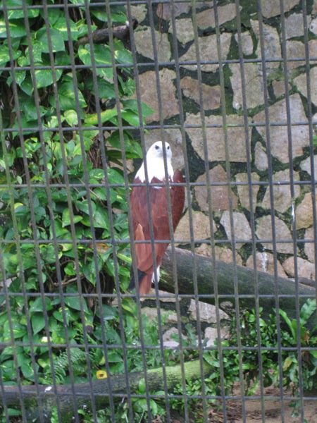 IMG 3551