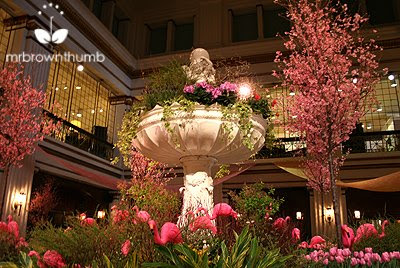 Macy's on State Street Flower Show: Dream in Color