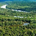 COBERTURA VEGETAL: DESMATAMENTO CAI 18% NA AMAZÔNIA LEGAL EM 2014