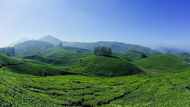 Munnar Tour Packages