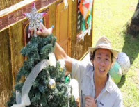 Kuya Kim features celebrity Christmas trees in Matanglawin