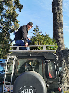 Land Rover Defender with Christmas Tree on Roof Rack