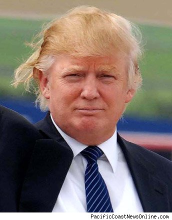 donald trump hair. donald trump hair blowing in