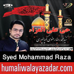 http://www.humaliwalayazadar.com/2015/10/syed-mohammad-raza-rizvi-nohay-2016.html