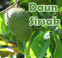 Daun Sirsak