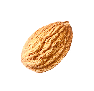 Almonds / Badam Png Best HD PNG Image Photos | PNG Images - Free Download On Tech Of Jalal | #PNGClipart