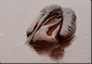 o02_23681001