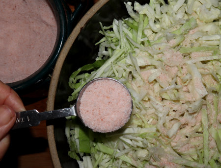 Shredder for natural Sauerkraut, Kimchi, Salad producers