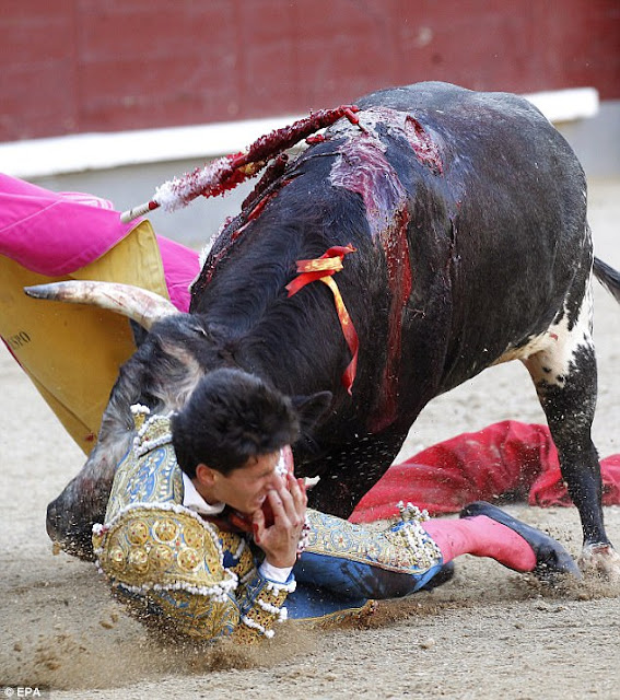 beast goring a bullfighter described as a horrific news