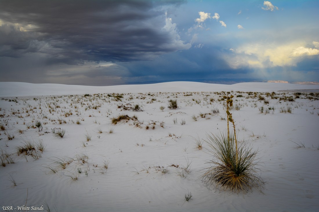 white Sands national park