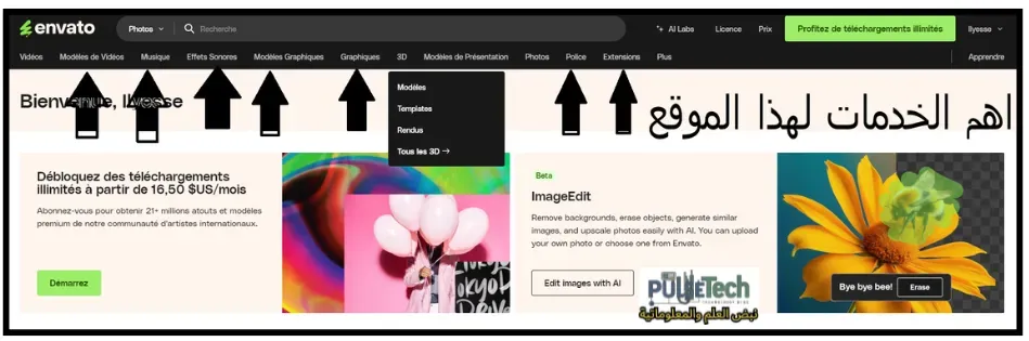 envato