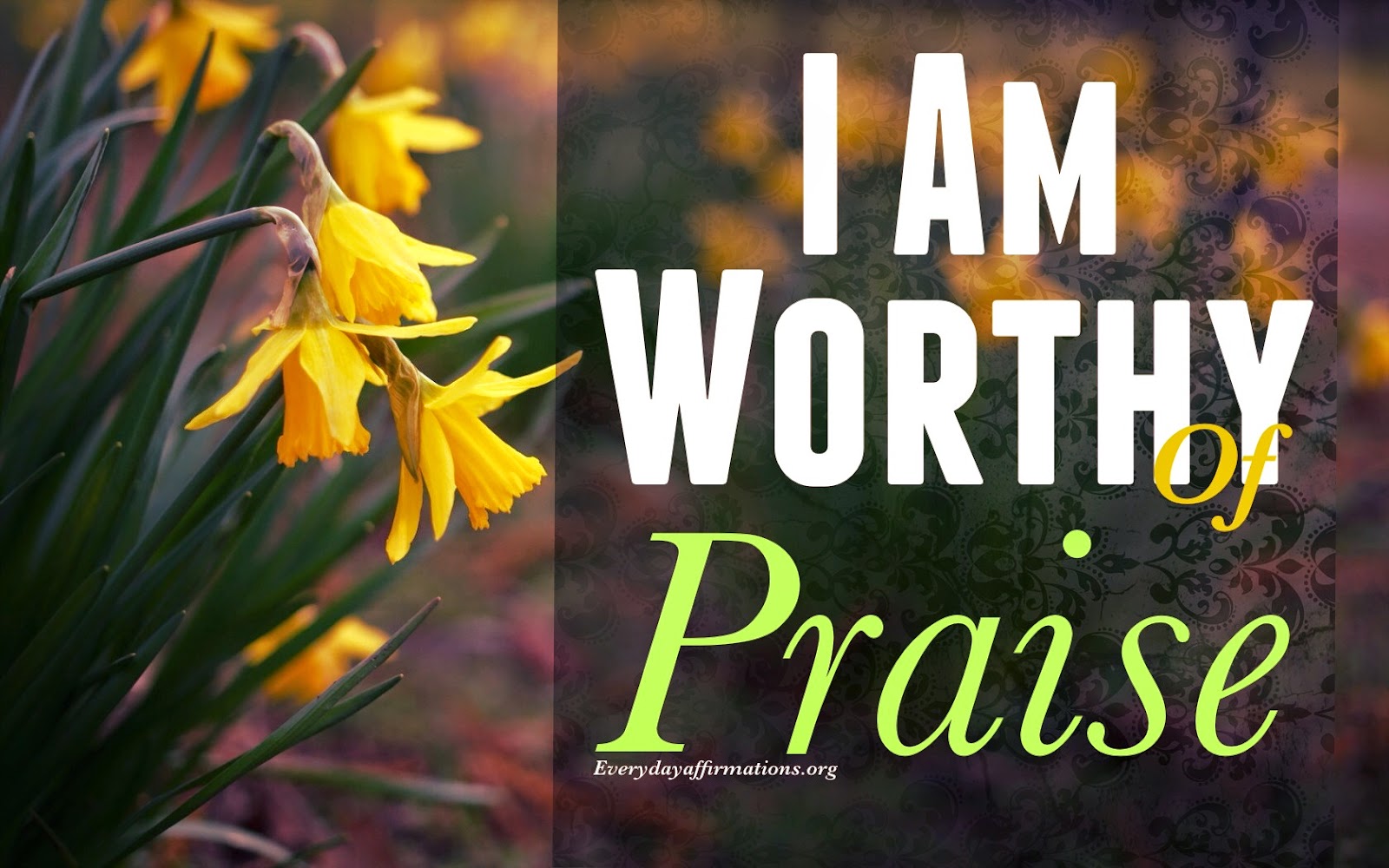 I am worthy Affirmations  Everyday Affirmations