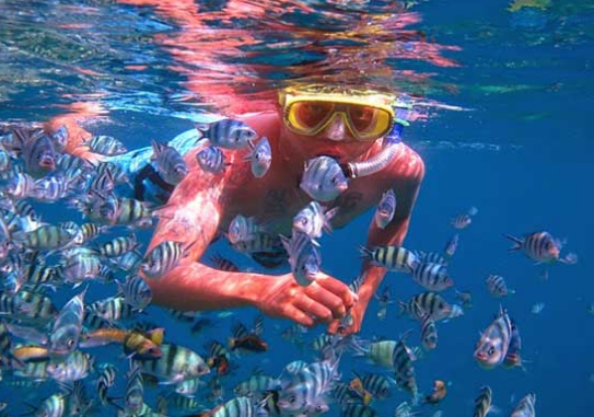 foto bawah laut karimun jawa, menyelam di karimun jawa