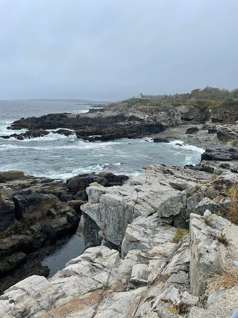 Uncle Beaver, Aunt Jess, Dad and I all took a small hike on a trail that bordered the Atlantic Ocean. The trail allowed for people to walk down onto the very rocky shoreline and use them to walk around the peninsula like trail. There were no smooth beach like areas on this route and we all had to jump from large rock to large rock all of it uneven.