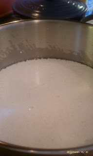 Fromage Blanc culture added to milk