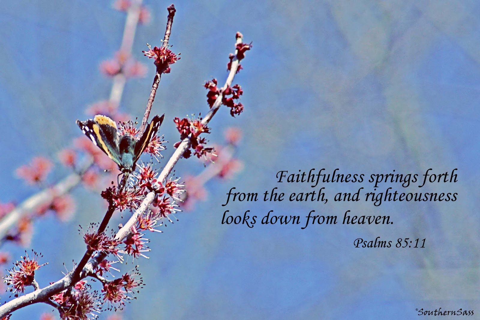 Spring+butterfly+with+scripture.jpg