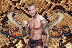 Randy Orton Wallpaper 