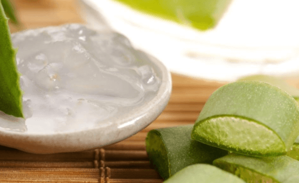5 manfaat daun Lidah Buaya (Aloe Vera) untuk wajah berminyak dan berjerawat