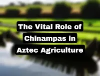 what was the importance of chinampas in aztec society?