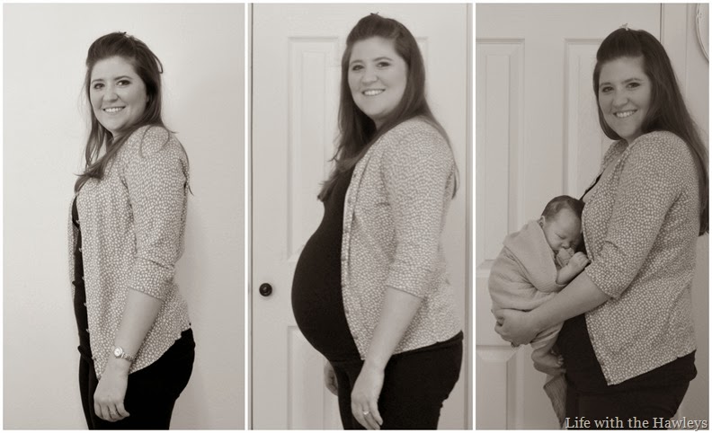5 Weeks - 31 weeks - 41 weeks