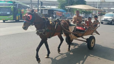 Dilarang Beroperasi Selama 7 Hari, Kusir Delman Dapat Konpensasi Rp 575 Ribu dari Bupati Garut