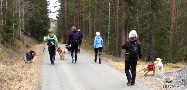 rundtur 005