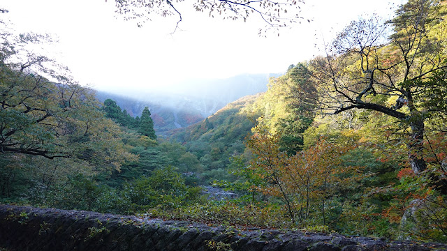 鳥取県西伯郡大山町大山 大神山神社奥宮 参道 金門