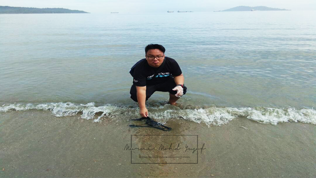 Program V.I.P: Membersihkan Pantai Tanjung Lipat, Kota kinabalu, Sabah.