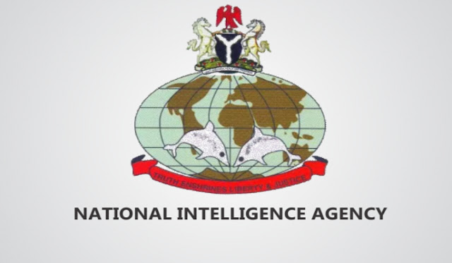 Former NIA DG Challenges Agency's Denial, Asserts Reinstatement